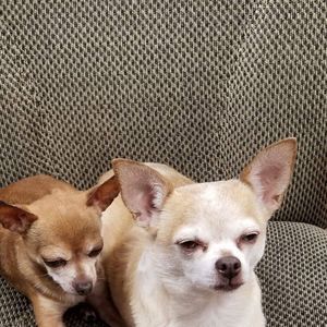 Meet your Posher, Cindy